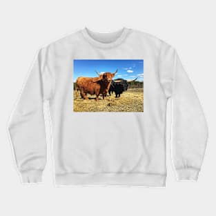 Scottish Highland Cattle Cow and Bull 2370 Crewneck Sweatshirt